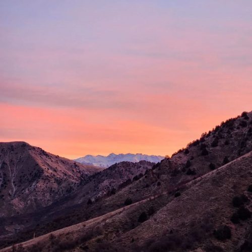 photo 10 2025-03-24 20-13-54