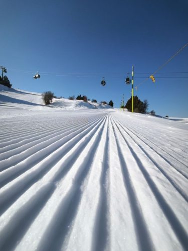 photo 11 2025-03-25 20-50-26