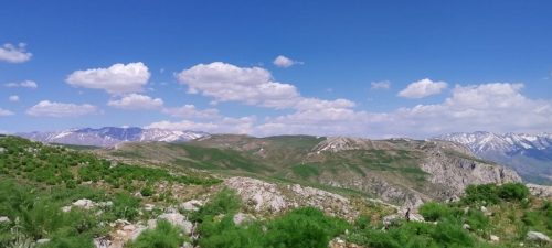 photo 13 2025-03-24 20-13-54