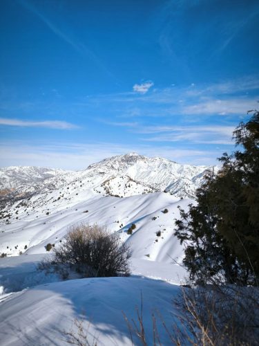 photo 13 2025-03-25 20-50-26