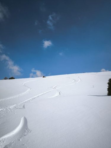 photo 14 2025-03-25 20-50-26