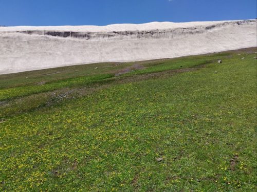 photo 17 2025-03-24 20-13-54