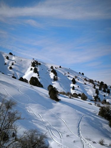 photo 17 2025-03-25 20-50-26