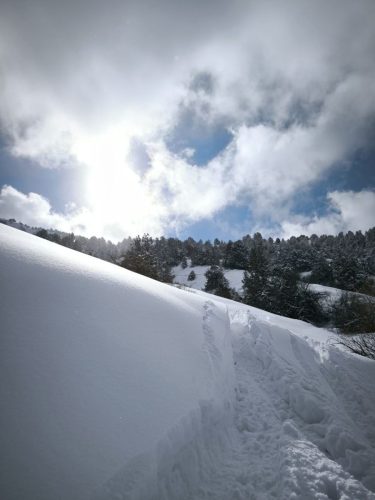 photo 18 2025-03-25 20-50-26