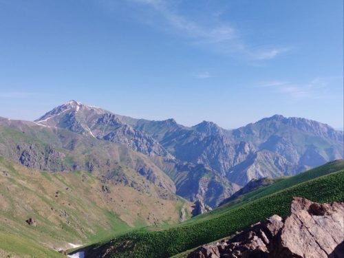 photo 19 2025-03-24 20-13-54