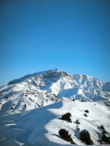 photo 21 2025-03-25 20-50-26