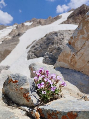 photo 22 2025-03-24 20-13-54