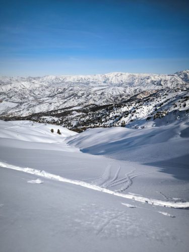 photo 23 2025-03-25 20-50-26