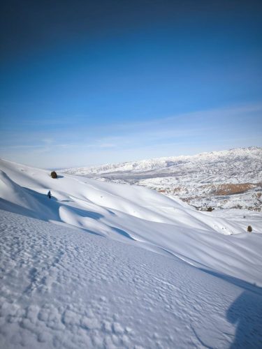 photo 25 2025-03-25 20-50-26