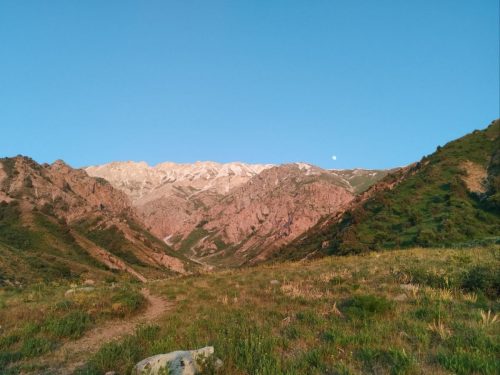 photo 28 2025-03-24 20-13-54