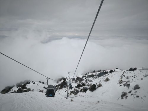 photo 2 2025-03-25 20-50-26