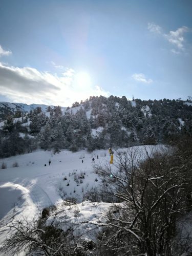 photo 3 2025-03-25 20-50-26