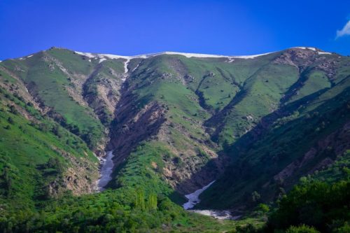 photo 51 2025-03-24 20-13-55