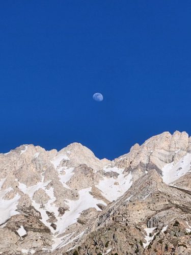 photo 54 2025-03-24 20-13-55