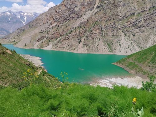 photo 56 2025-03-24 20-13-55