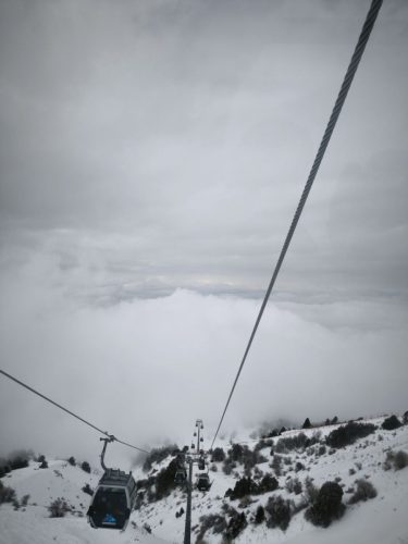 photo 5 2025-03-25 20-50-26