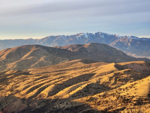 photo 6 2025-03-24 20-13-54