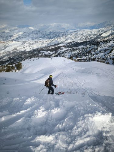 photo 6 2025-03-25 20-50-26