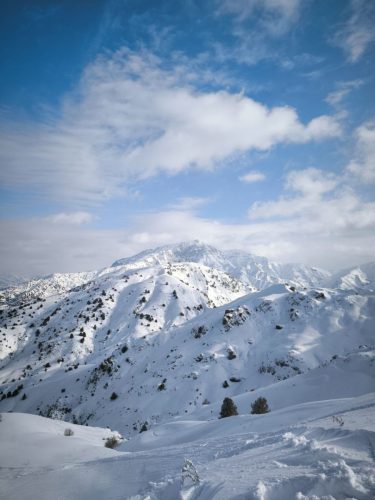 photo 7 2025-03-25 20-50-26