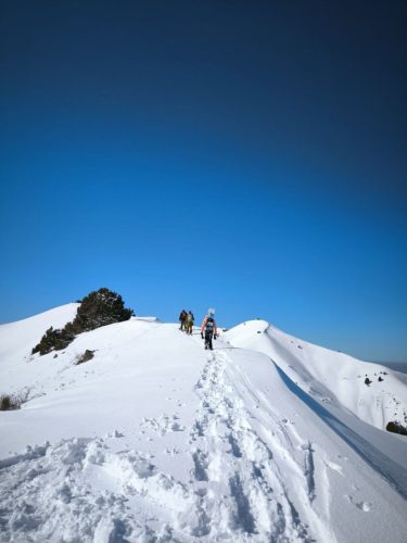 photo 8 2025-03-25 20-50-26